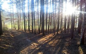 Ferienwohnung Landliebe